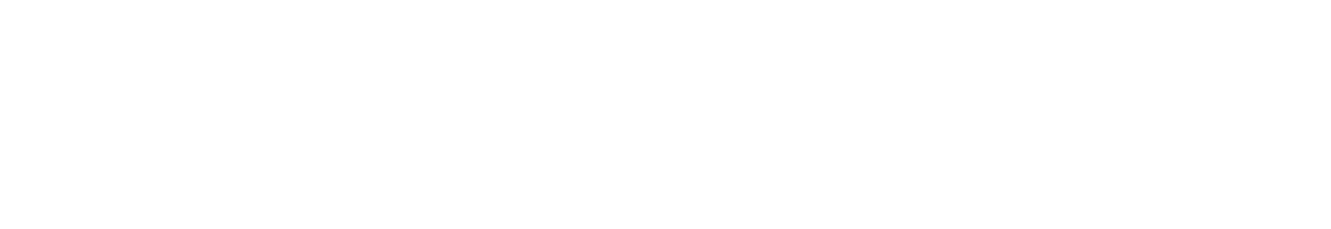 setupedia logo banner white