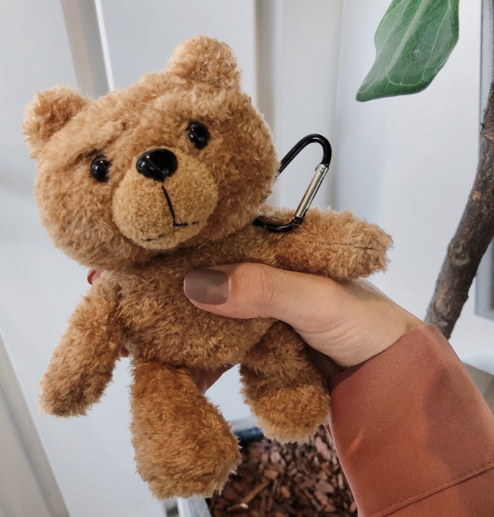 1973618769968-1.jpg Teddy Bear AirPod Case