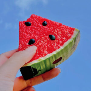 Watermelon AirPod Case