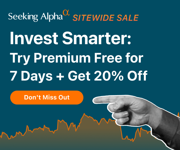 seeking alpha summer sale